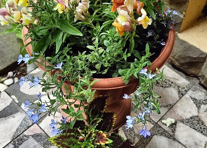 Aska Accommodatie bij particulieren *