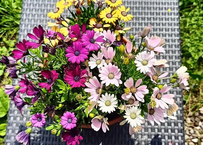 Aska Accommodatie bij particulieren Karpacz