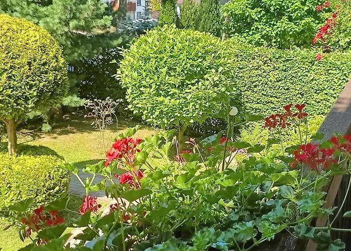 Aska Accommodatie bij particulieren