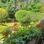 Aska Homestay