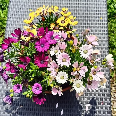 Aska Habitación en casa particular Karpacz