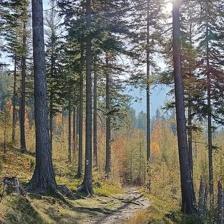 Aska Karpacz