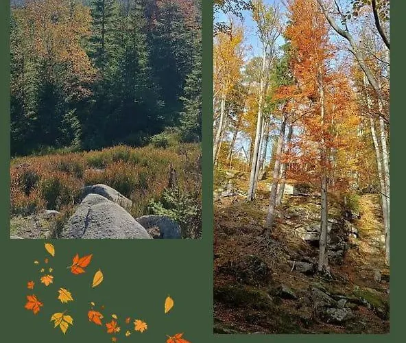 Aska Kwatera prywatna Karpacz