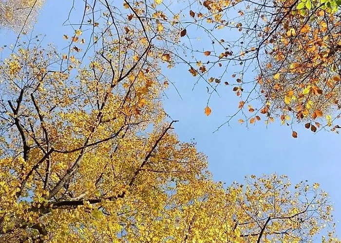 Aska Kwatera prywatna