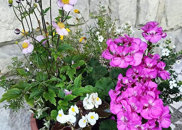 Aska Habitación en casa particular Karpacz